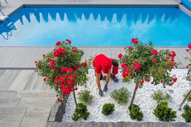 cómo diseñar un jardín con piscina: consejos esenciales para un espacio perfecto